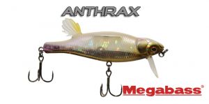 Megabass Anthrax - wobblerek.com