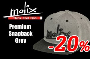 Molix Premium Snapback Grey Sapka - wobblerek.com