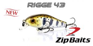 Zipbaits Rigge 43 - wobblerek.com