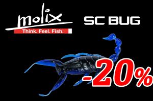 Molix SC Bug  - wobblerek.com