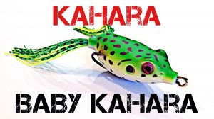 Baby Kahara Frog - Wobblerek.com