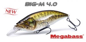 Megabass BIG-M 4.0 - wobblerek.com