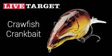 LiveTarget - Crawfish Crankbait