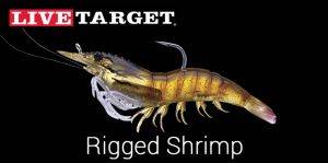LiveTarget - Rigged Shrimp - www.wobblerek.com