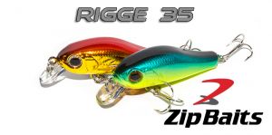 Zipbaits Rigge 35 - wobblerek.com